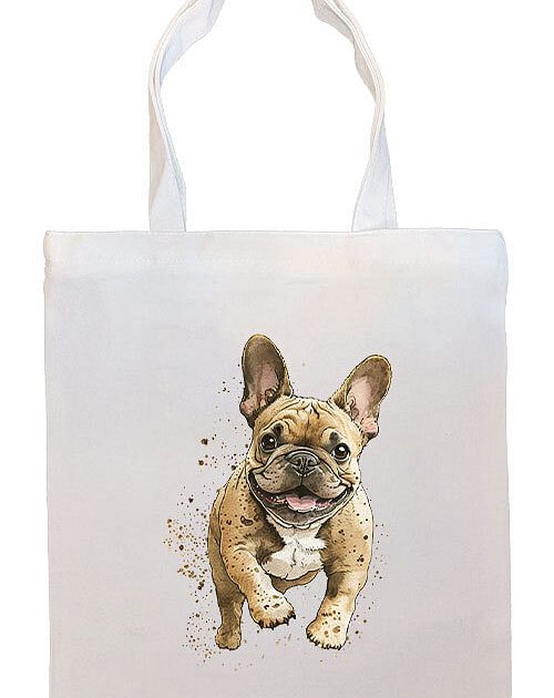 Travel & Bags